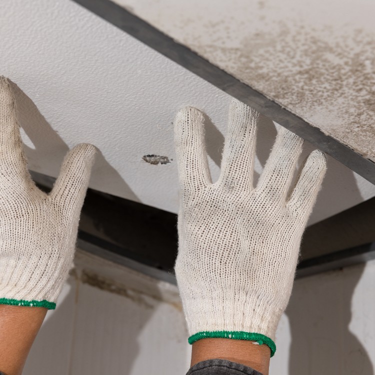 Home repair services in Wake Forest, NC